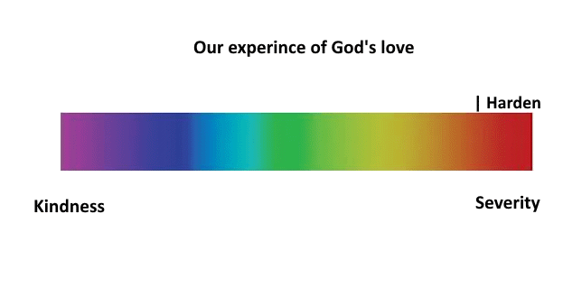 experience